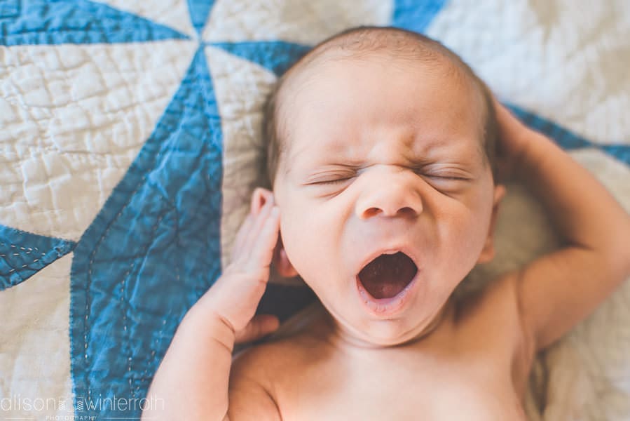 Lifestyle Newborn Web WM-2