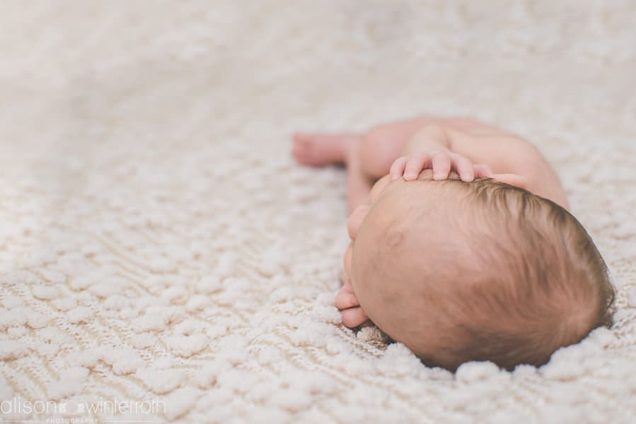 Lifestyle Newborn Web WM-24
