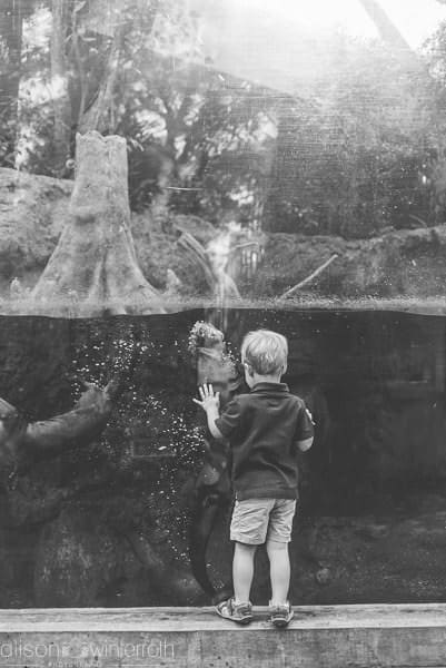 Lifestyle_family_session_aquarium _Web_WM-16