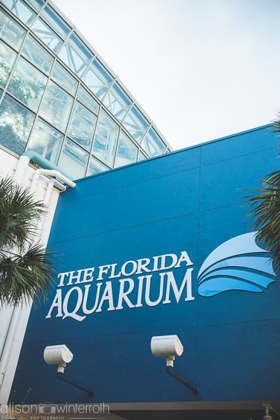 Lifestyle_family_session_aquarium _Web_WM-2