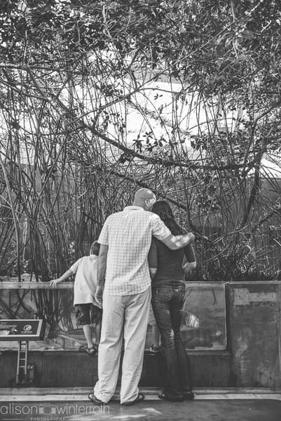Lifestyle_family_session_aquarium _Web_WM-24
