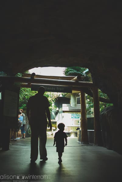 Lifestyle_family_session_aquarium _Web_WM-3