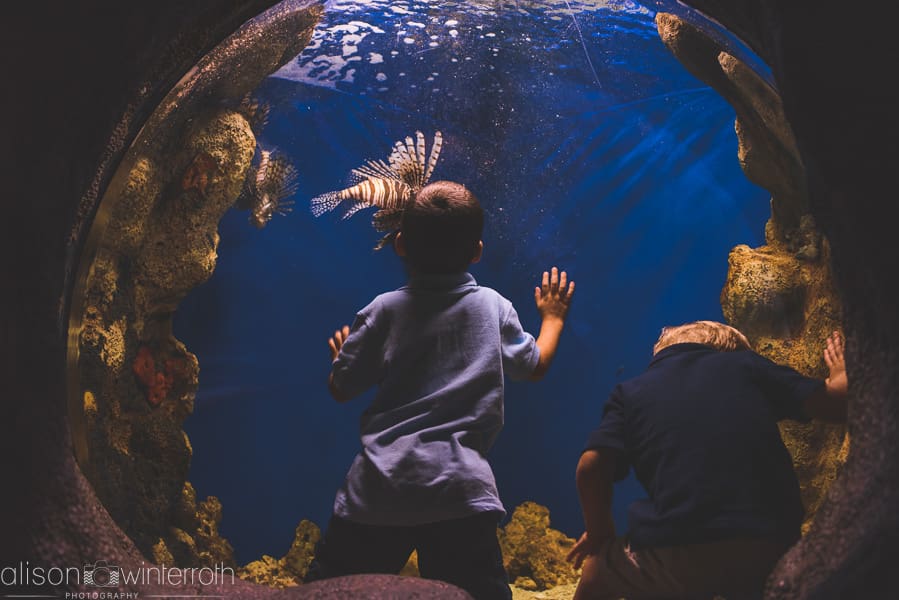 Lifestyle_family_session_aquarium _Web_WM-59