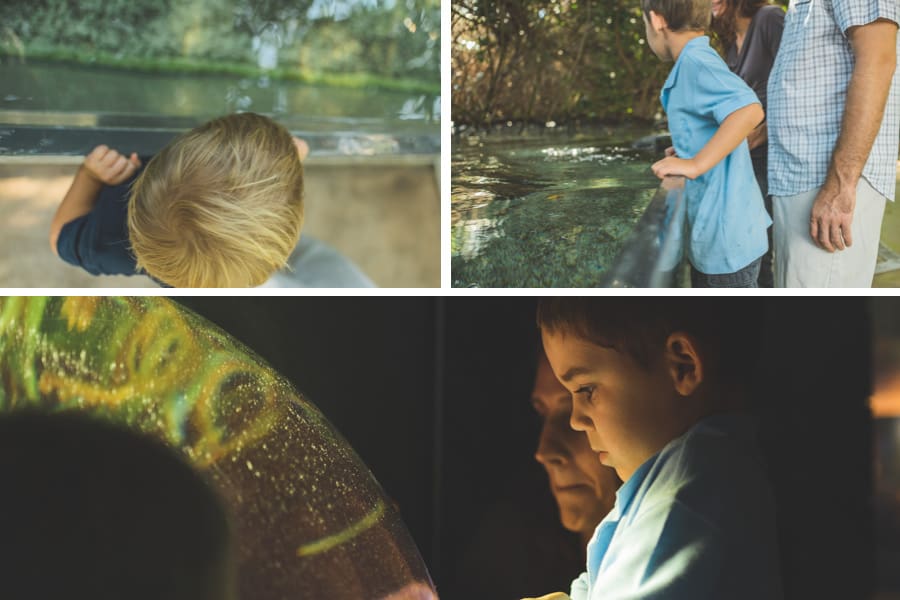 Tampa_Family_Photographer