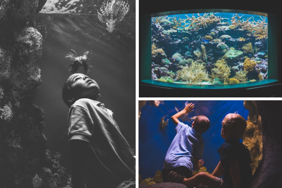 tampa_lifestyle_family_photographer