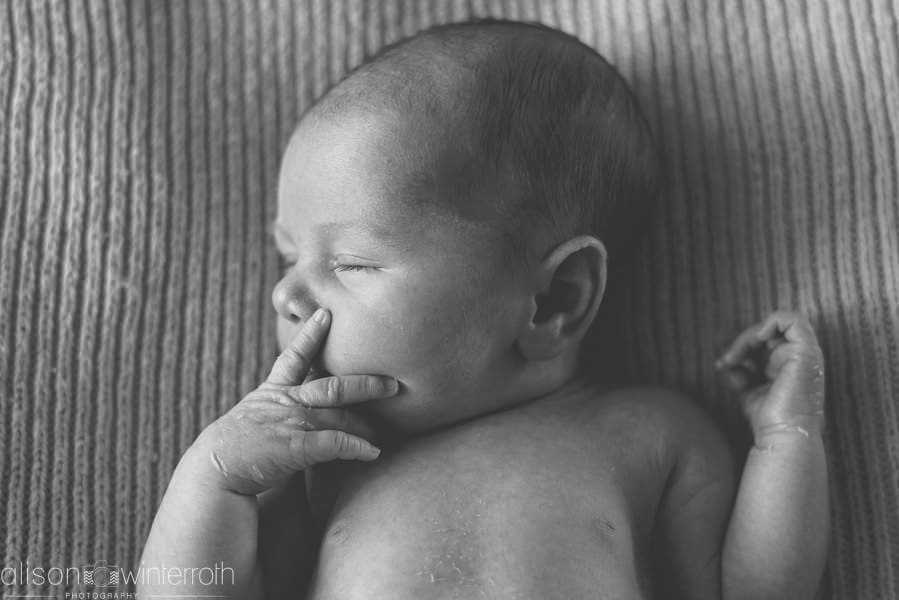 Tampa_Newborn_Photography_Web WM-2