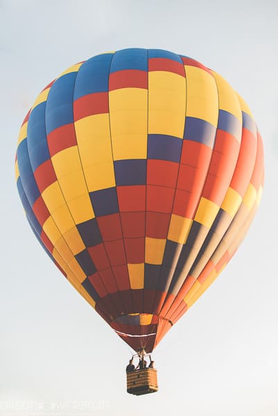 Tampa_Hot_Air Baloons_Web_WM-74