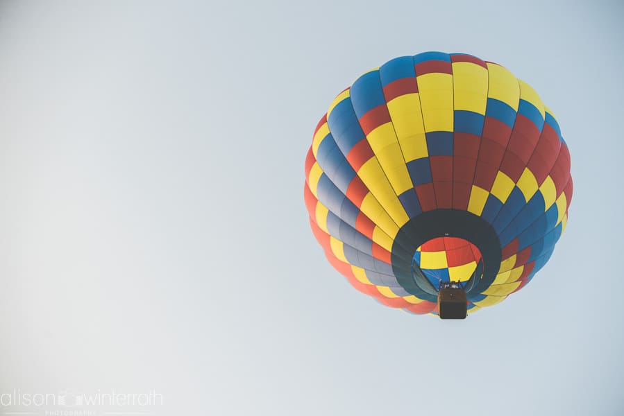 Tampa_Hot_Air Baloons_Web_WM-77