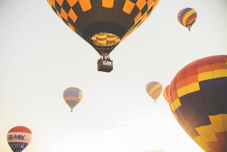 Tampa_Hot_Air Baloons_Web_WM-79