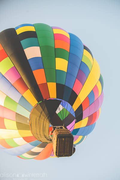 Tampa_Hot_Air Balloons_Web_WM-84