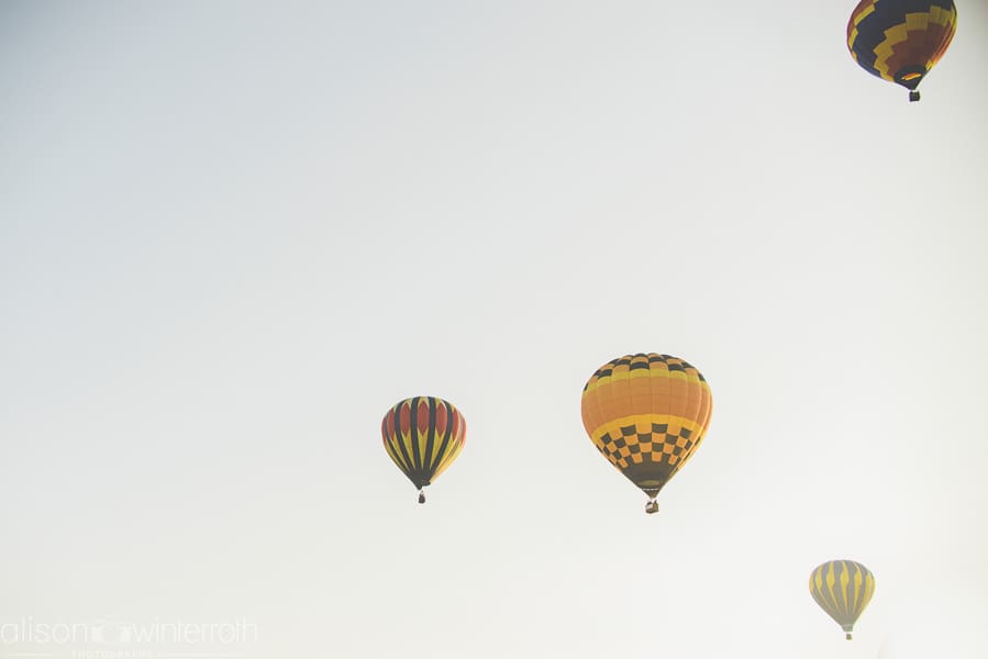 Tampa_Hot_Air Baloons_Web_WM-86