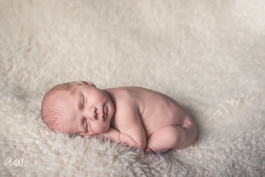 Tampa FL Newborn Photographer soft newborn session