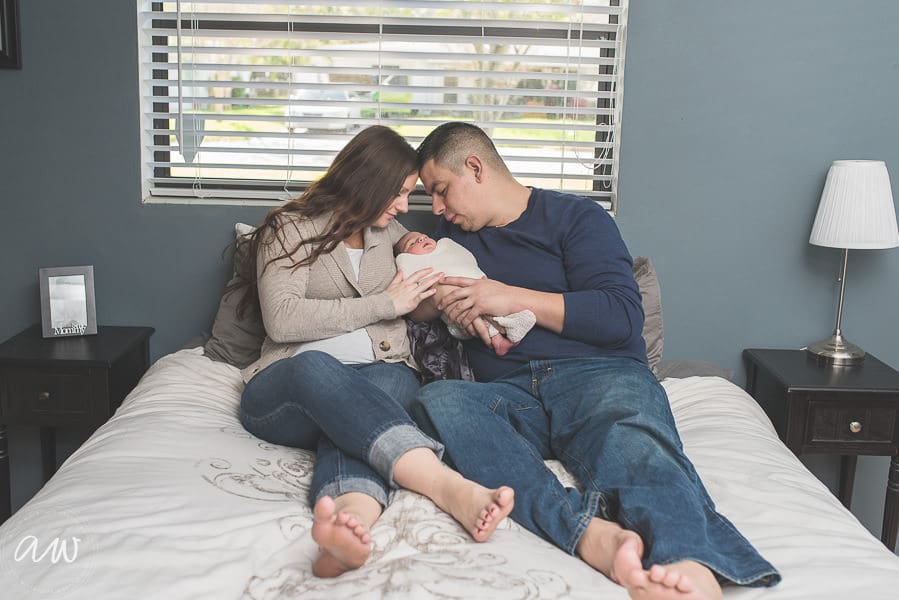 Curry Newborn Web WM-21