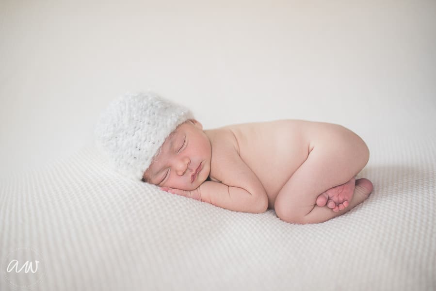 Curry Newborn Web WM-41