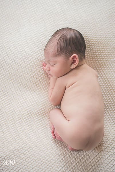 Curry Newborn Web WM-43