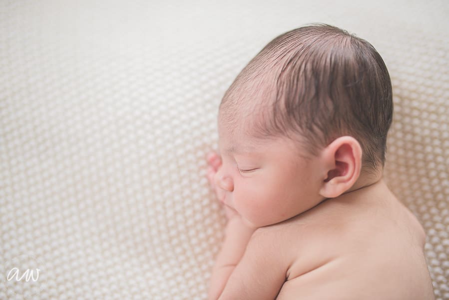 Curry Newborn Web WM-47