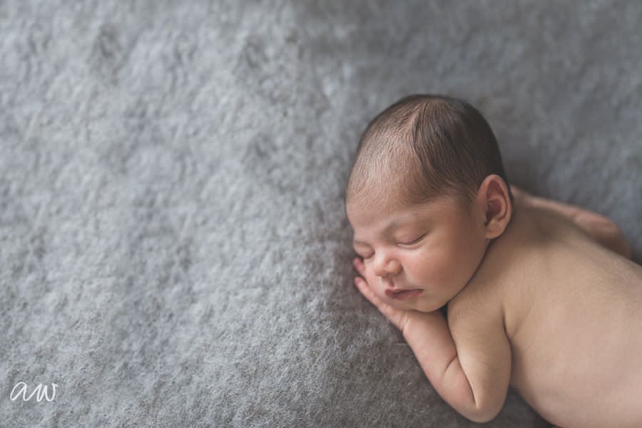 Curry Newborn Web WM-51