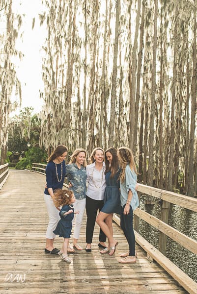 Family Web WM-17