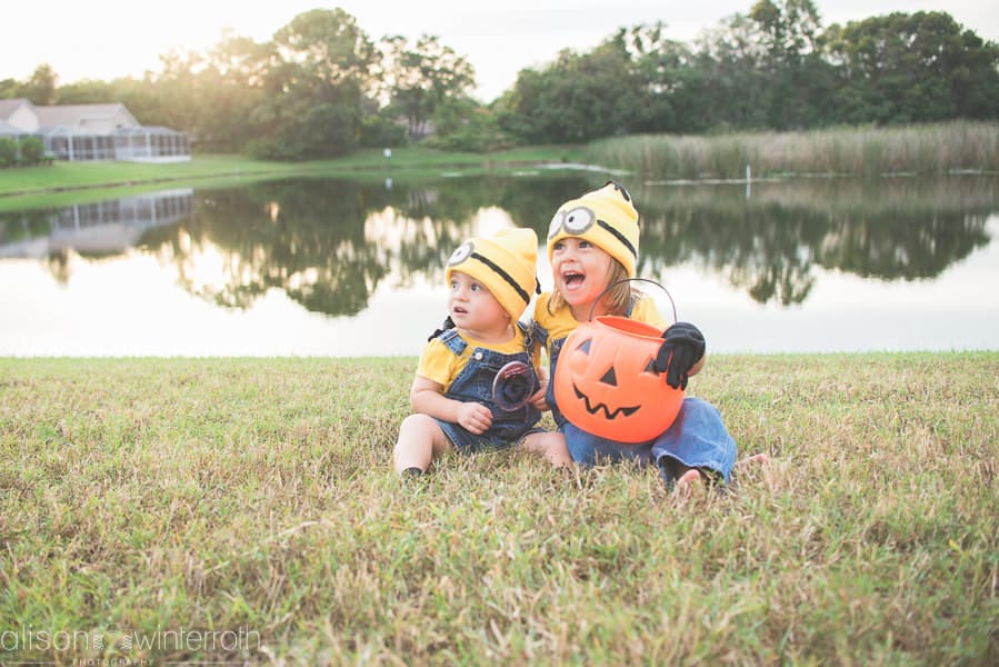 Halloween Web WM-16