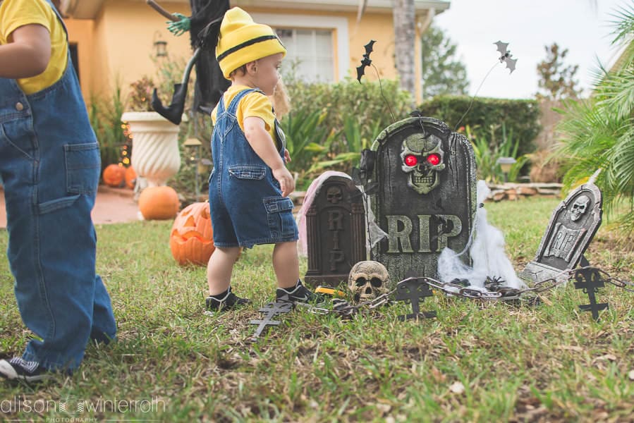 Halloween Web WM-26