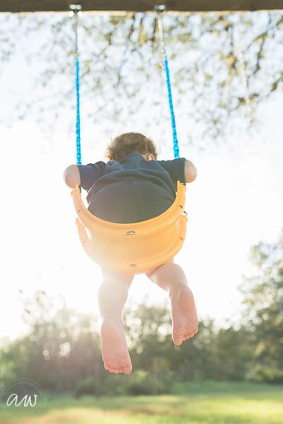 Swing Web WM-6