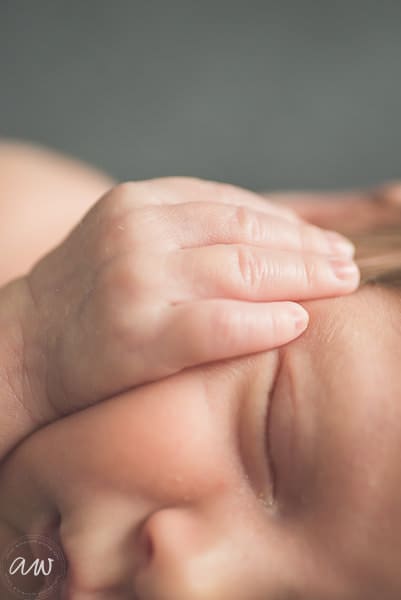 K Newborn Web WM-34