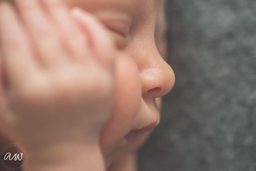 K Newborn Web WM-36