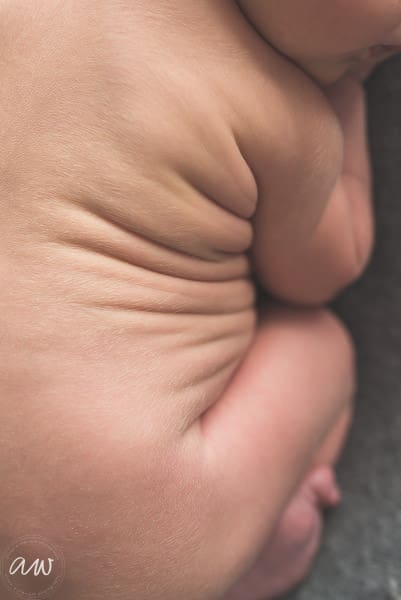 K Newborn Web WM-39