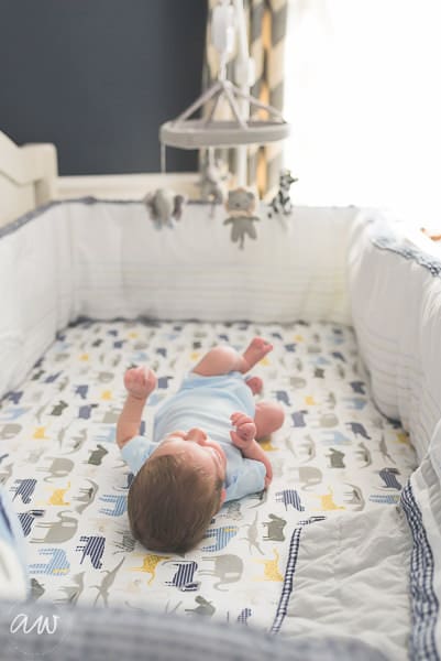 K Newborn Web WM-49
