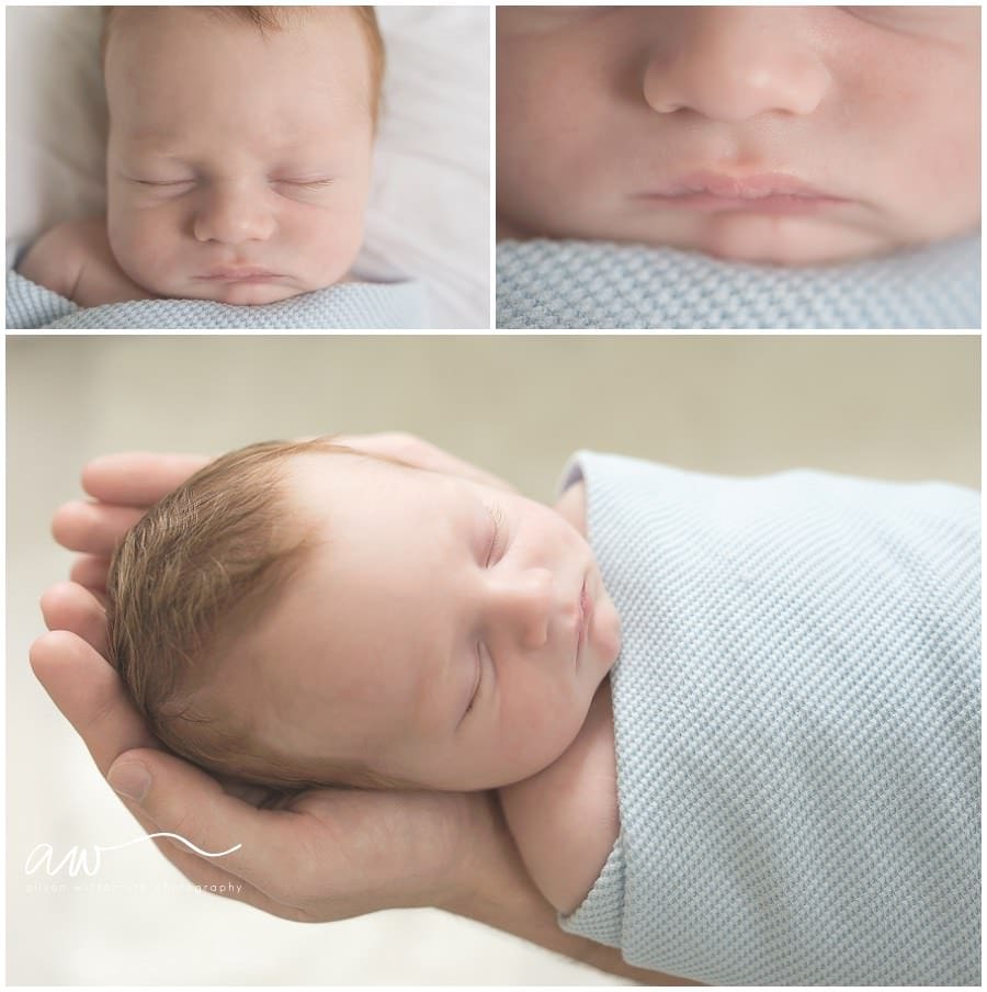 Tampa Palms Newborn Photographer