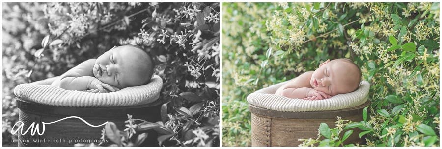South Tampa Newborn Photographer_0038