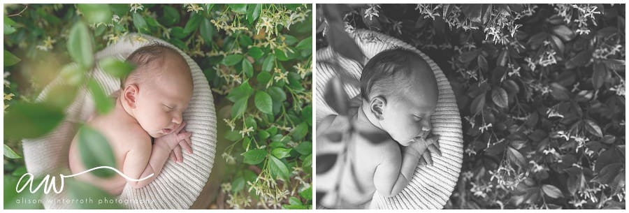 South Tampa Newborn Photographer_0040
