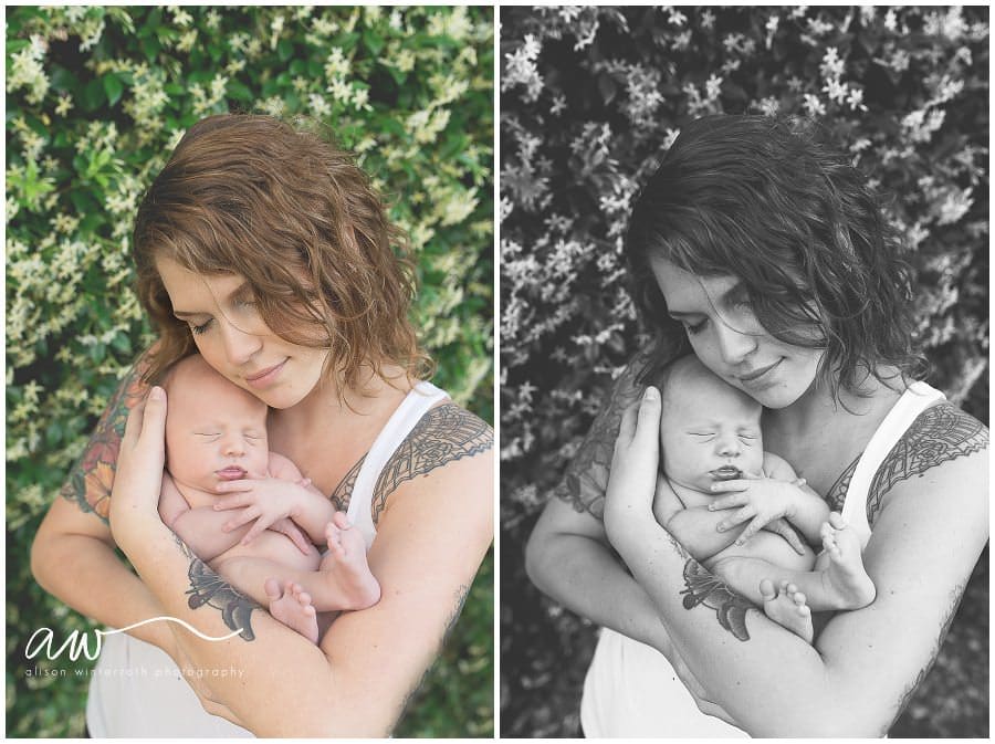 South Tampa Newborn Photographer_0041