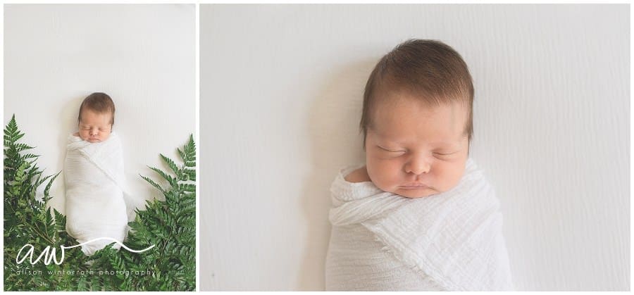 A newborn baby from Tampa Fl is laying in ferns for a creative and beautiful fine art newborn image.