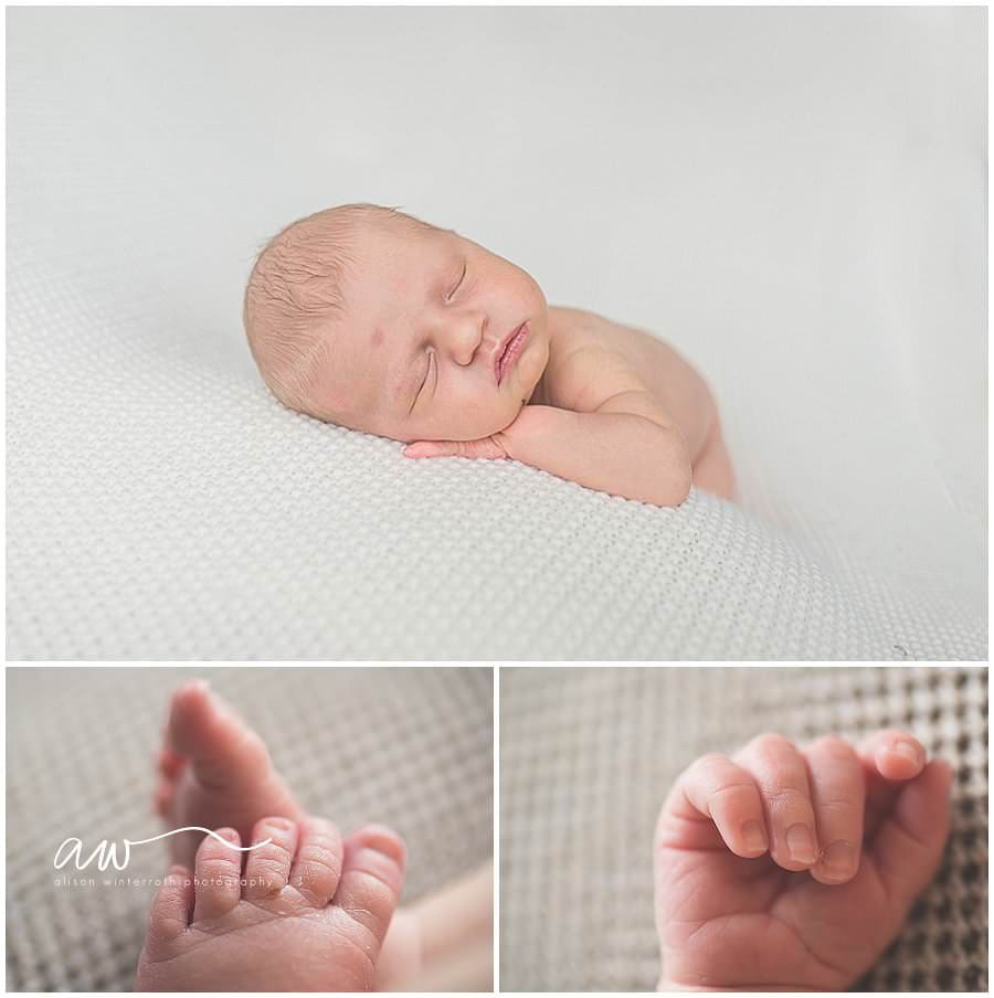 newborn baby hands and feet photographs