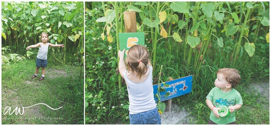 Two kids going through a sunflower maze