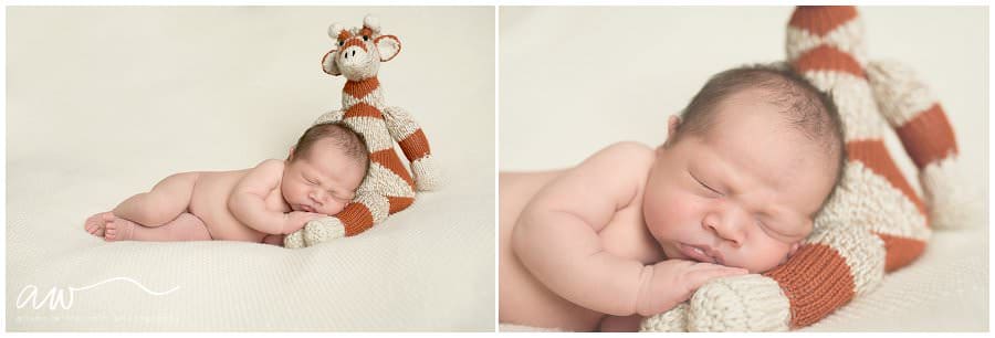 Newborn Photographer Tampa FL_0136