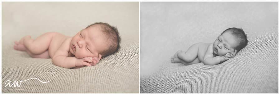 New baby laying on a blanket in Tampa, FL