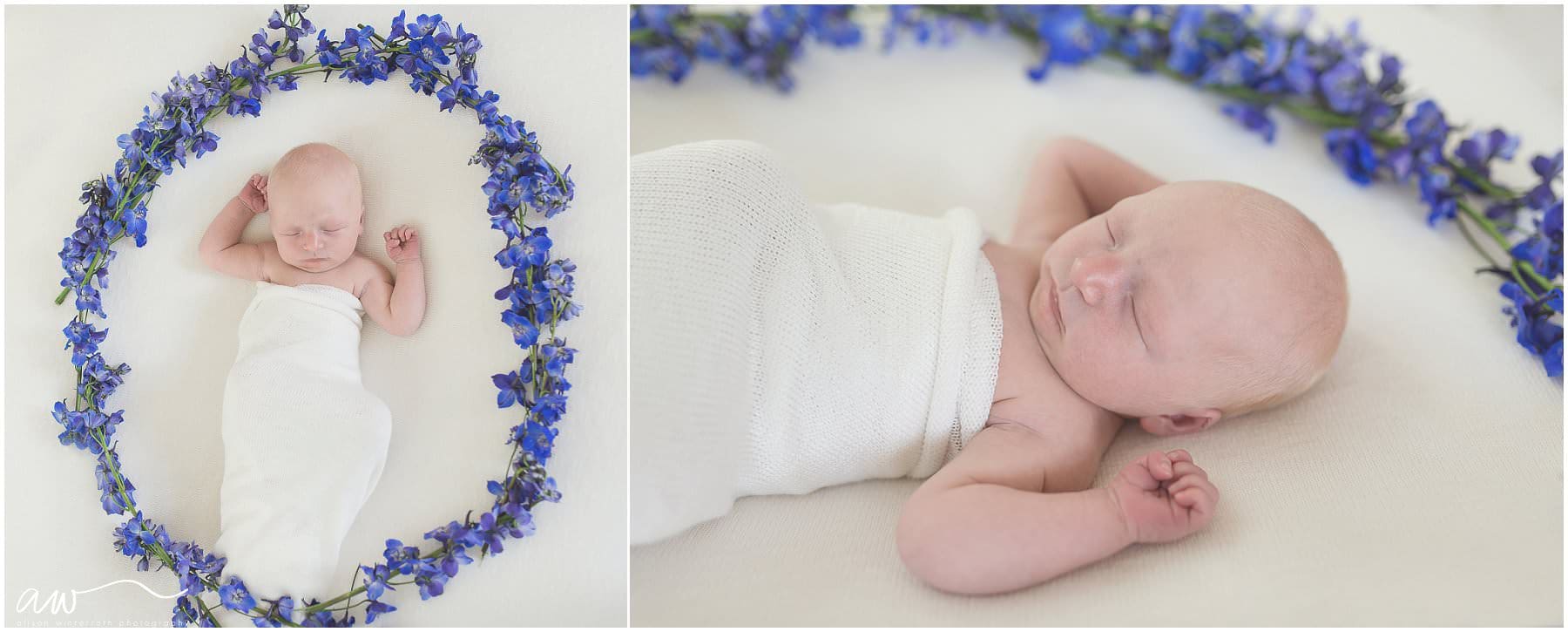 Newborn session with baby surrounded by purple flowers in a circle.