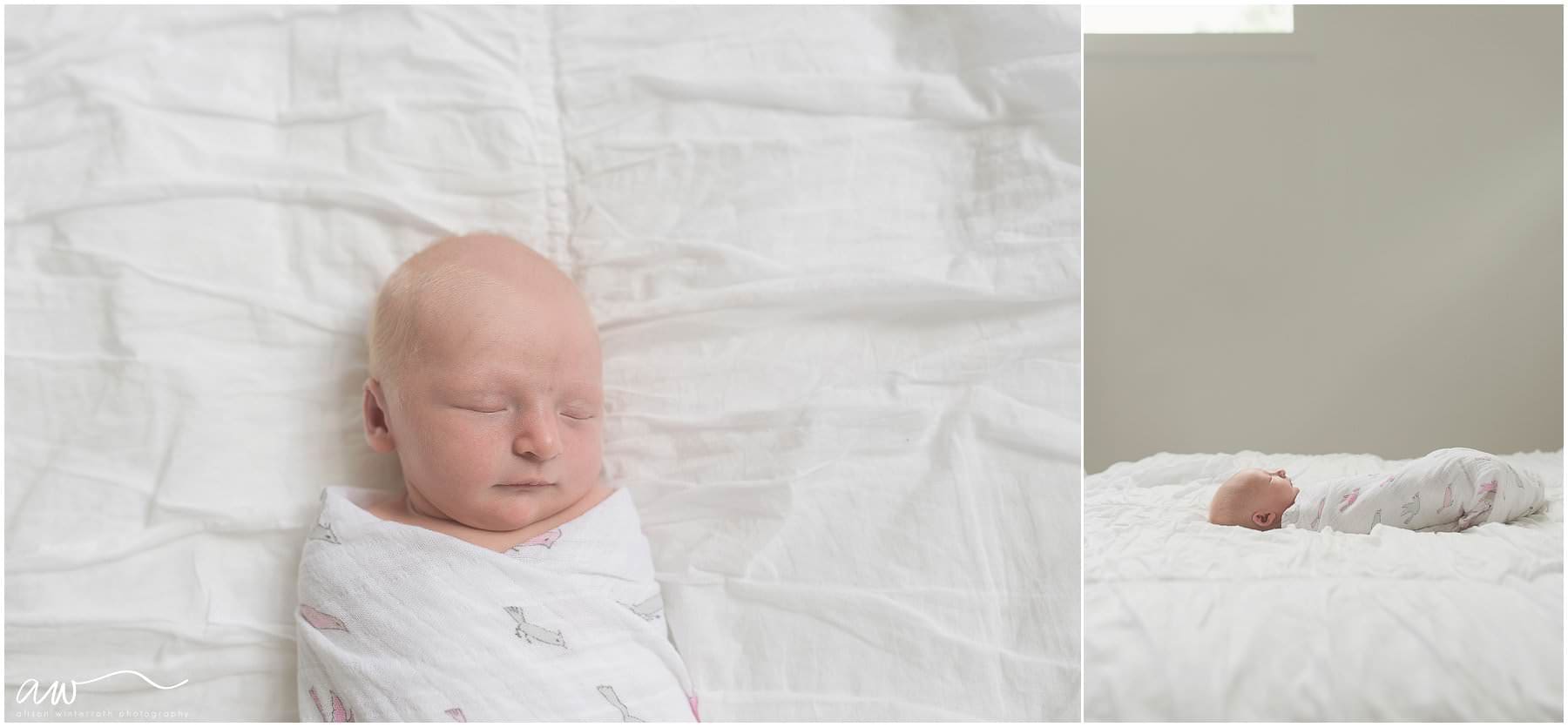 natural newborn session by Alison Winterroth.