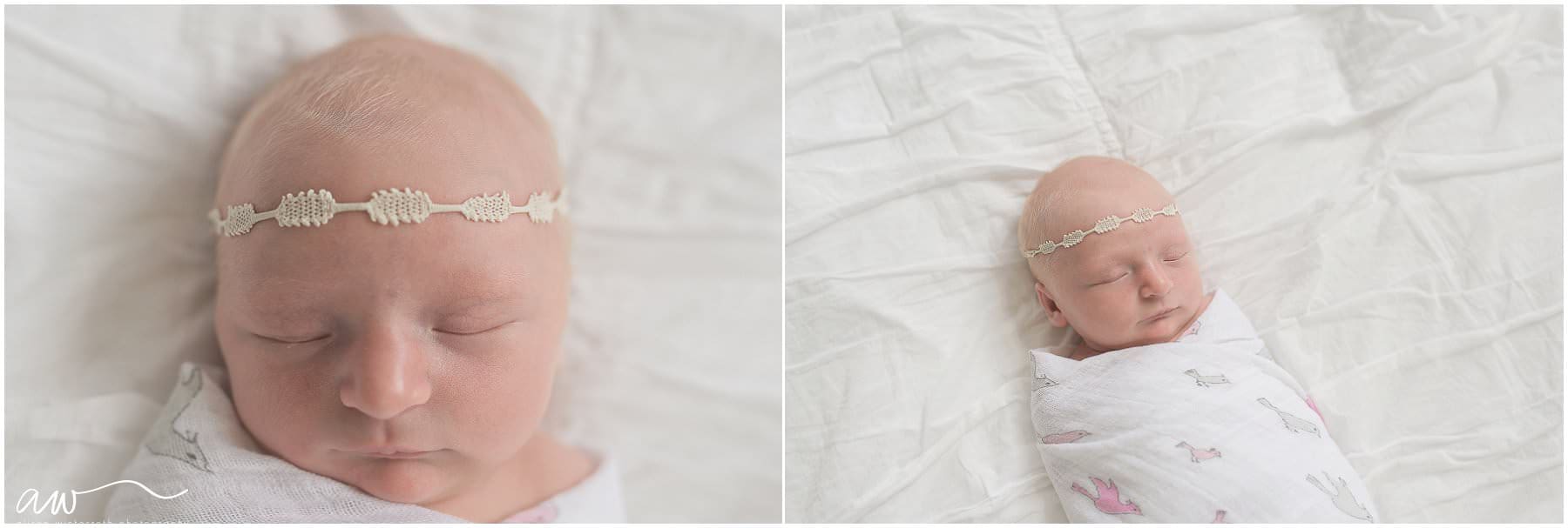 All white newborn session by Alison Winterroth Photography.