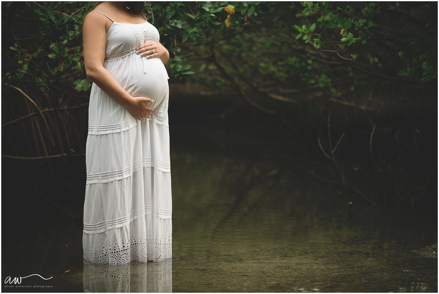 A mother in the mangroves at Picnic Island in Tampa, Fl