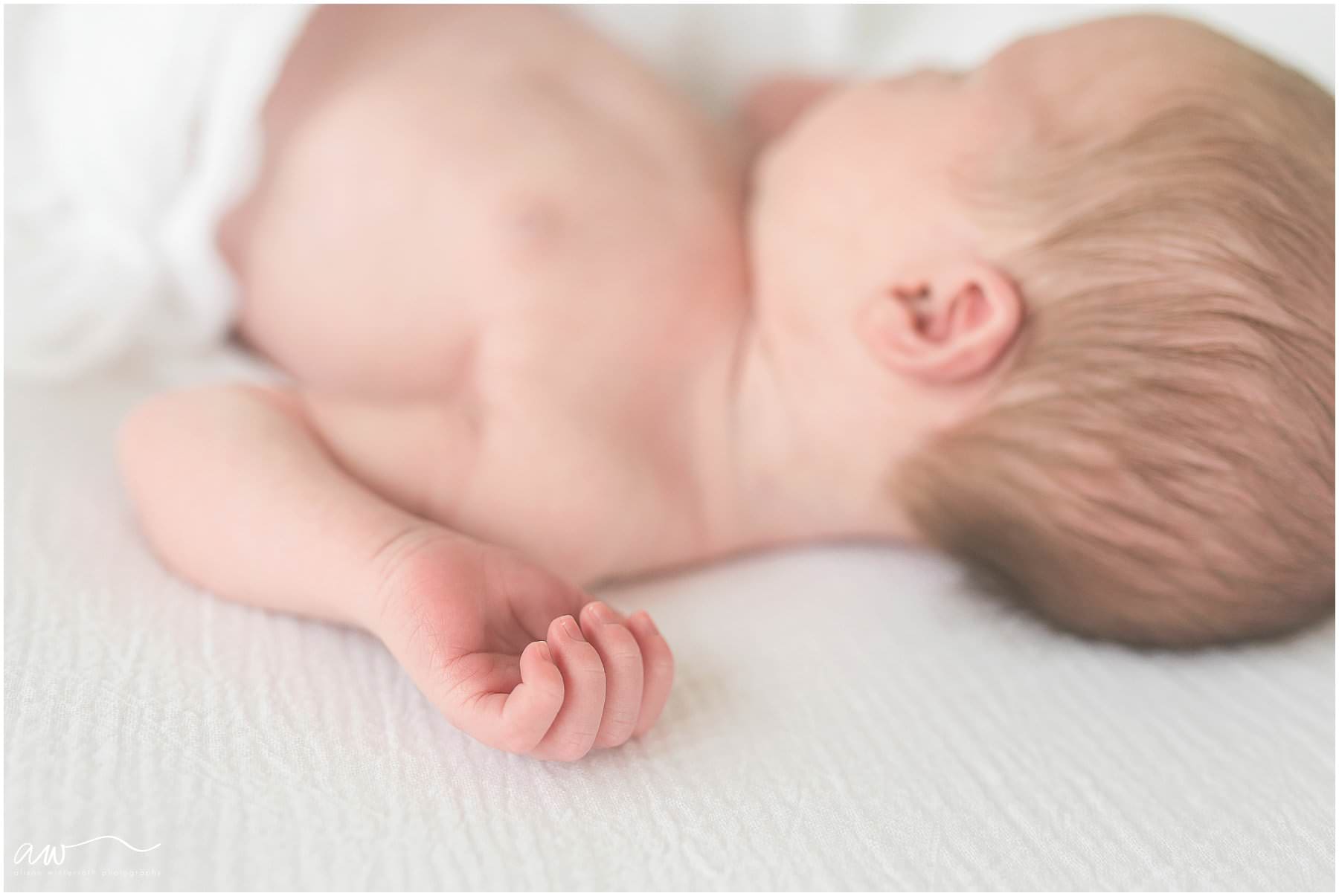 Newborn Photographer Tampa FL_0279