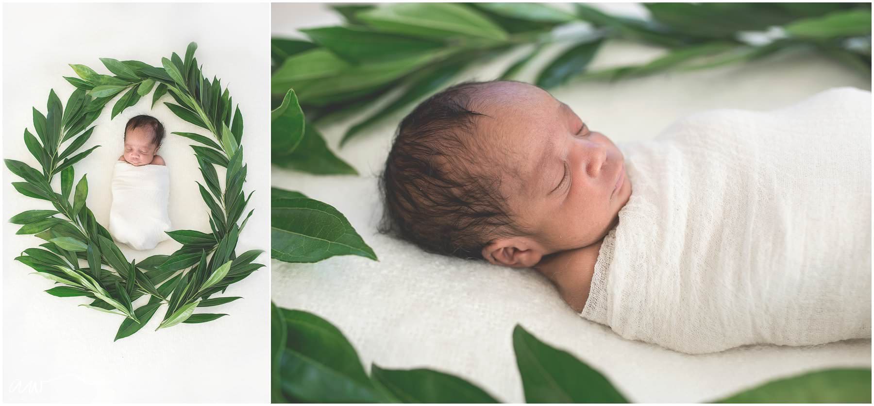 tampa newborn baby photographer