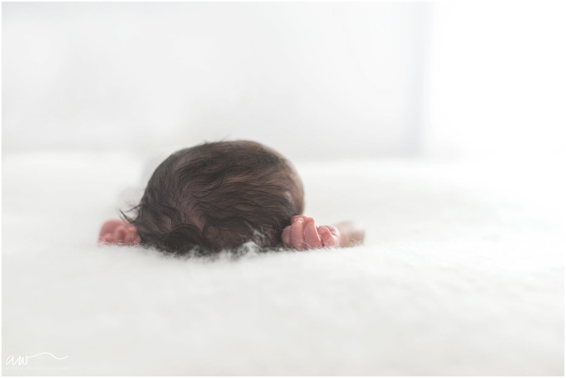 organic newborn photography