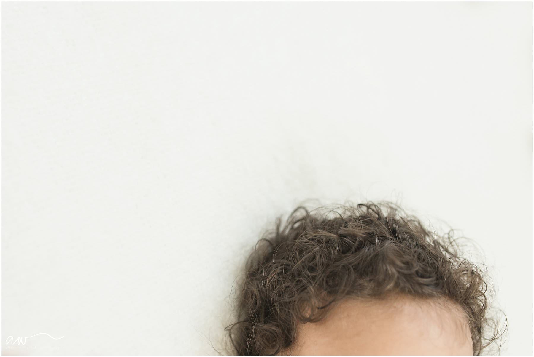 the top of a curly head