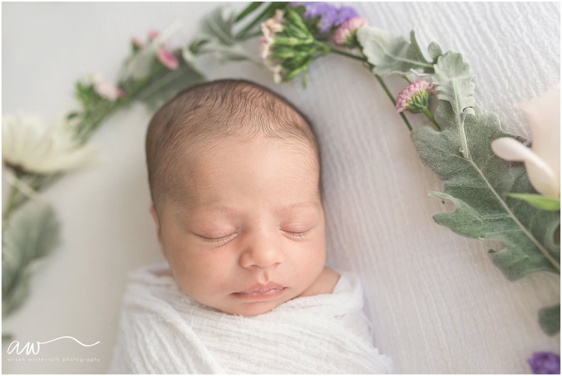 A Sweet Baby's Face In A Bed Of Flowers {South Tampa Studio Newborn Photographer}