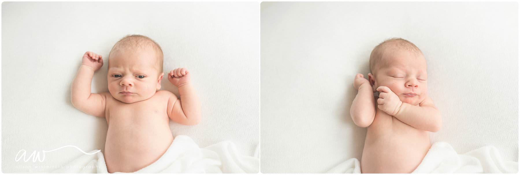 organic newborn photography