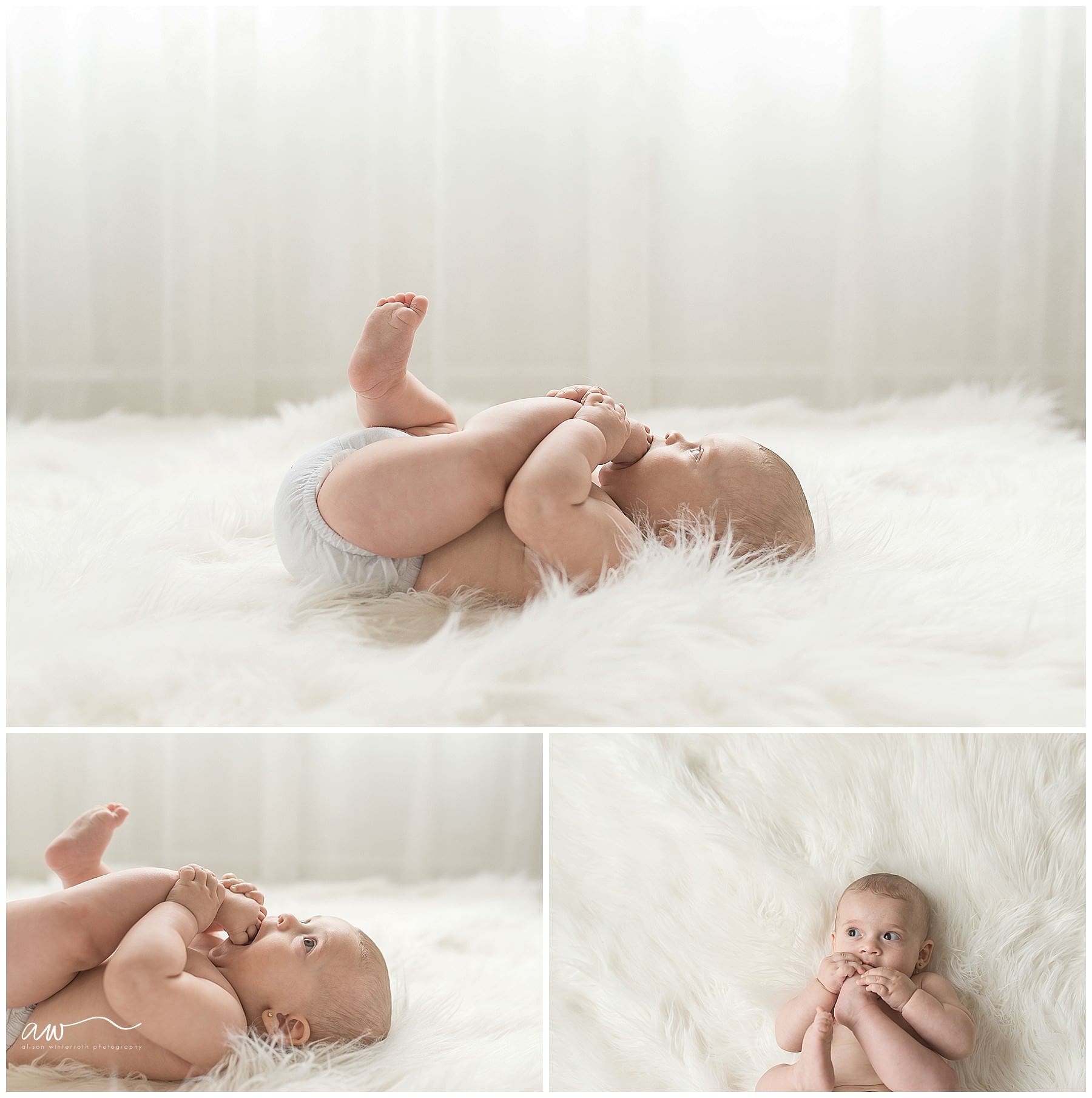 Alison Winterroth Photography