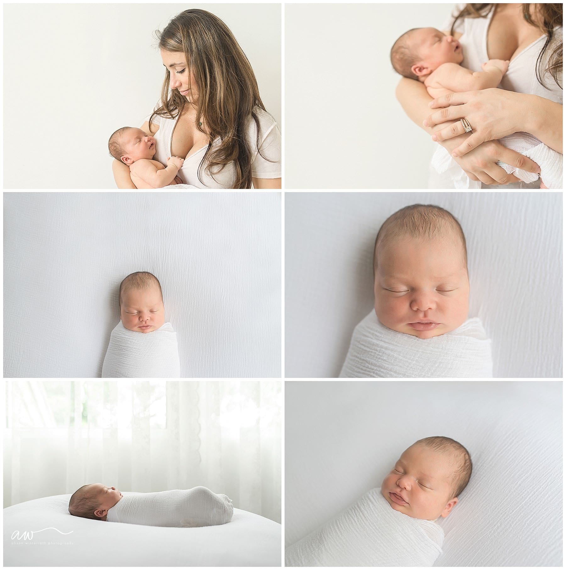Tampa Baby Photography